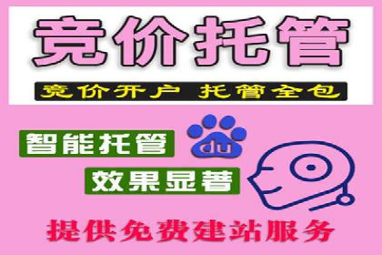 竞价端口开户全攻略，案例分析
